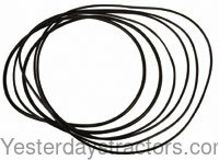 Farmall 385 Brake O-Ring Kit 539535R91